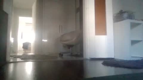 Nikola online show from 03.11.26