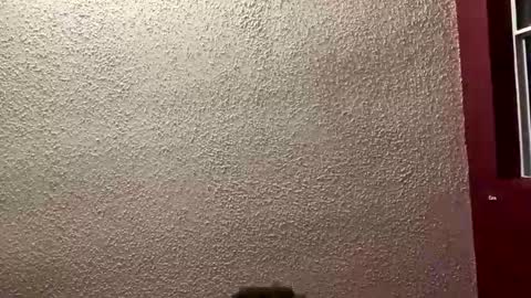 Snapshot of mrpurifire chatting on 01.19.26 Angel online show from 01.19.26