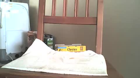 Snapshot of mrroarke chatting on 10.06.25 Longshot online show from 10.06.25