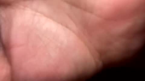 shawn online show from 12.16.25