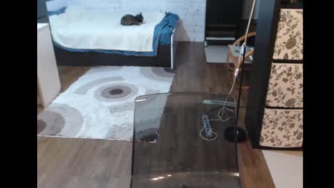 Sasha online show from 03.11.25