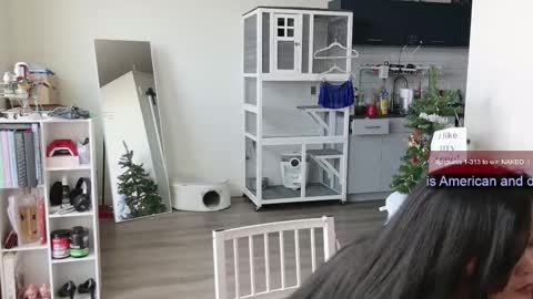 R o r i  SnapChat heyroriv2 wednesday - sunday Noon oclock mountain - 5pm mountain online show from 11.01.25