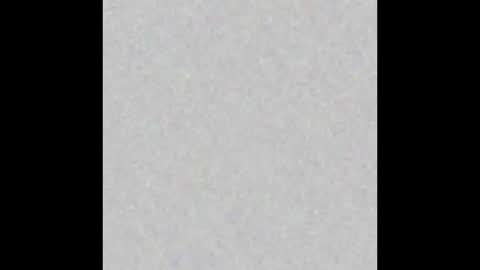 Ms Kitten Smitten online show from 12.12.24