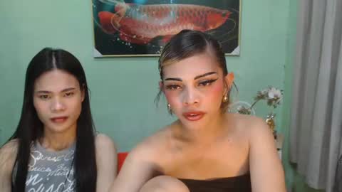 msmeygan online show from 06.12.26