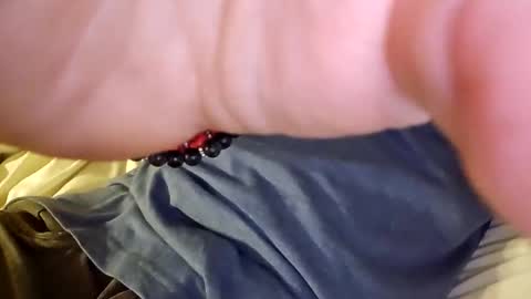 Snapshot of mtnclimber1 chatting on 11.19.25 mtnclimber1 online show from 11.19.25