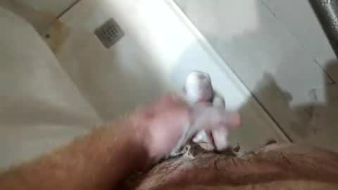 mugglesmuggler online show from 03.20.26