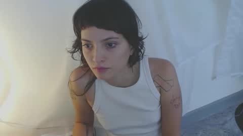   online show from 11.19.25