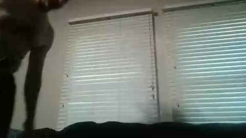 Snapshot of my_little_vienna_sausage chatting on 11.16.25 vienna online show from 11.16.25