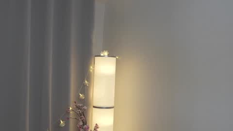 Snapshot of my_stella chatting on 01.28.25 STELLA Im here today online show from 01.28.25