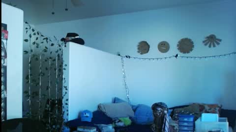 LA MARIPOSA DE MARICOPA online show from 03.02.25