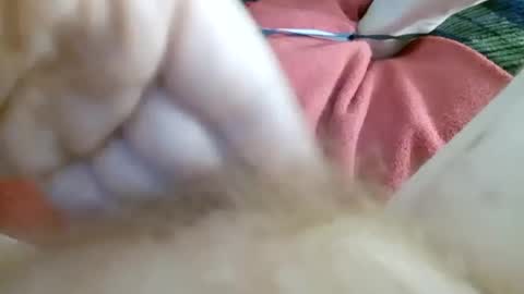 Kitty online show from 07.02.26