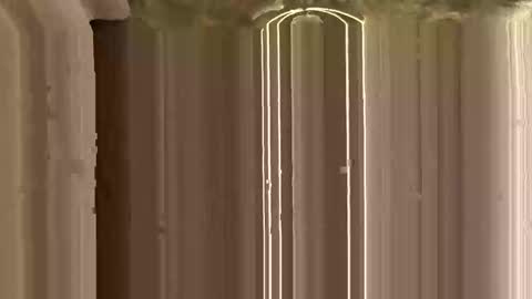 Snapshot of mypleasure001 chatting on 11.12.25 Ricky online show from 11.12.25