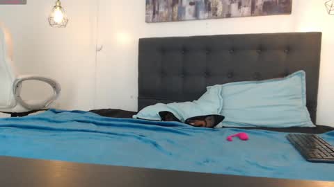 No Name online show from 01.05.25