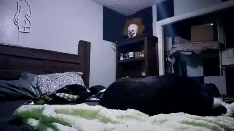 Snapshot of nackjamesontag69 chatting on 02.07.26 nackjamesontag69 online show from 02.07.26