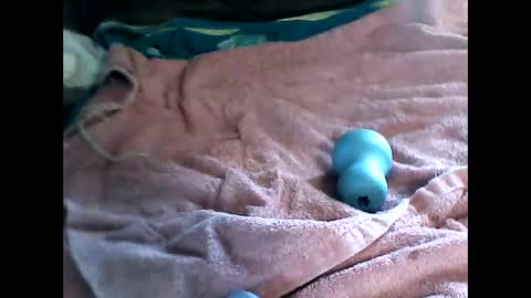 nakedboymdx online show from 03.23.26