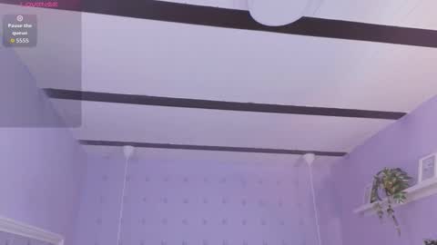 nalapalmer online show from 03.18.26