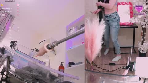 INSTAGRAM     bekkercat  online show from 02.07.25