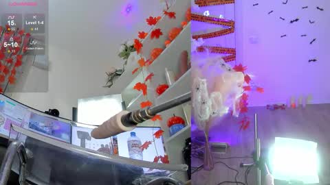 INSTAGRAM     bekkercat  online show from 11.02.25