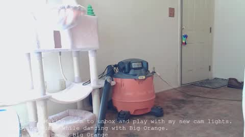 Snapshot of nannabaldur chatting on 12.16.25 Nanna Baldur online show from 12.16.25