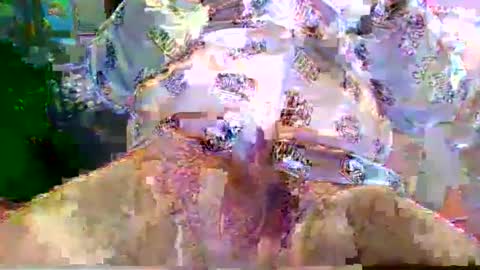 Snapshot of nano527 chatting on 02.12.26 nano527 online show from 02.12.26