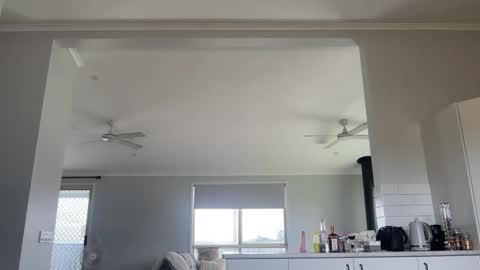 naomirhoades online show from 03.06.25