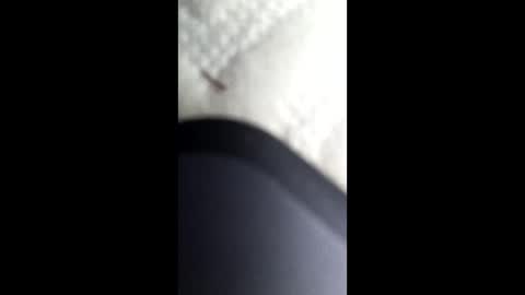 Snapshot of nastysubs69 chatting on 01.12.25 nastysubs69 online show from 01.12.25