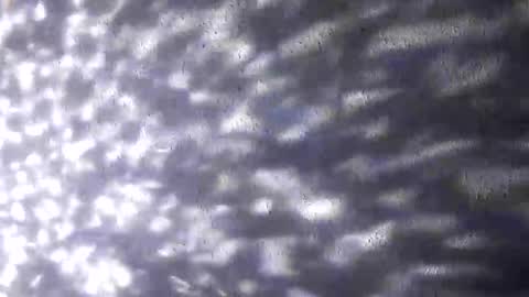 Snapshot of nastysubs69 chatting on 12.20.25 nastysubs69 online show from 12.20.25