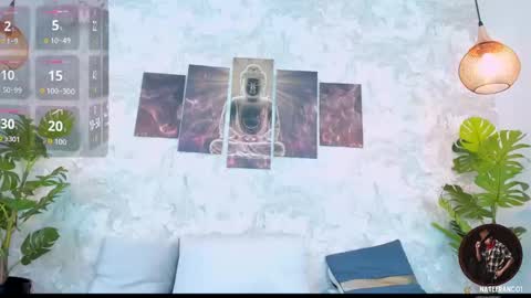 Snapshot of nate_franco chatting on 11.11.25 Nate Franco online show from 11.11.25