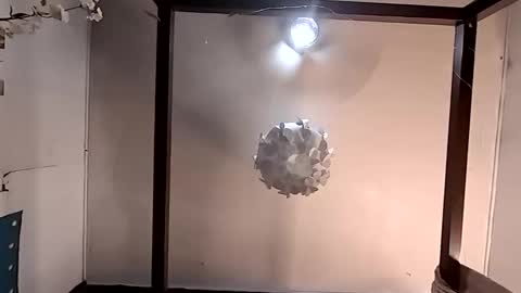 Snapshot of nativeboi22 chatting on 03.26.26 Haven online show from 03.26.26