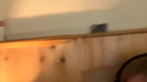 Naughtydaddy36 online show from 11.30.25