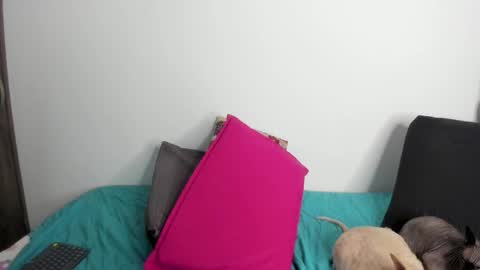 Snapshot of neeii chatting on 09.22.25 Nei turn green online show from 09.22.25