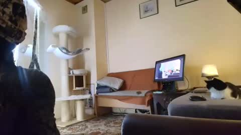 nessieanalemma online show from 02.24.26