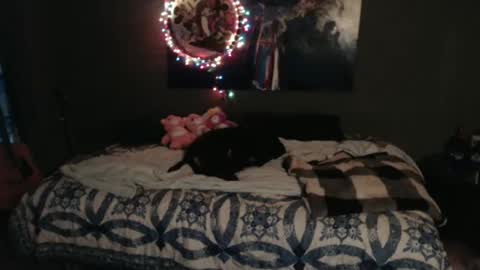 Nettie D Monroe online show from 11.08.25