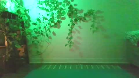 Snapshot of new__moon chatting on 12.27.24 luna online show from 12.27.24