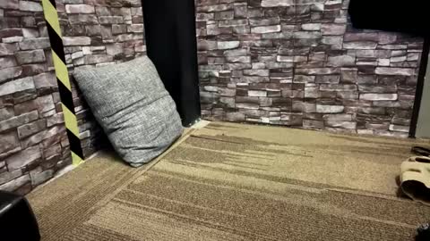 Snapshot of newzex66 chatting on 01.23.25 newzex66 online show from 01.23.25