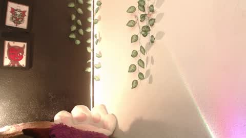 Snapshot of niakat_ chatting on 01.16.26 niakat online show from 01.16.26