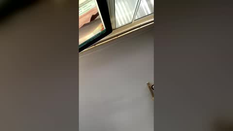 Snapshot of nicholaastavrou1977066464511s chatting on 01.17.26 nick stavrou online show from 01.17.26