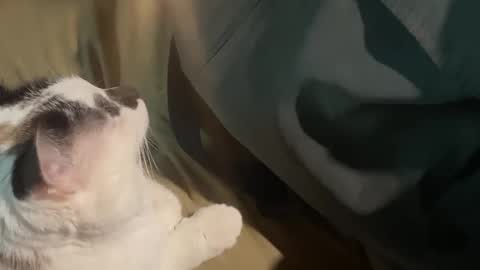 Snapshot of nick_and_bennie chatting on 09.19.25 Nick f and Bennie m online show from 09.19.25