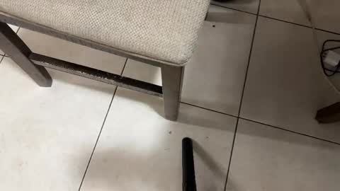 Snapshot of nicocar83pty chatting on 02.28.26 Carlos Nico online show from 02.28.26