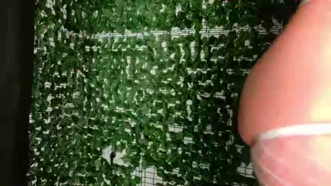 nicoleirisxxx online show from 07.03.26