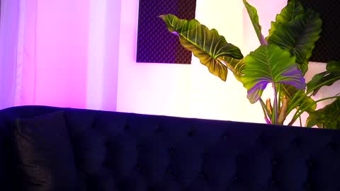 Sarah online show from 12.19.24