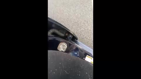 Snapshot of nikivega4u chatting on 03.07.26 nikivega4u online show from 03.07.26