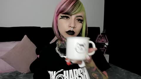 Snapshot of nikkiramone chatting on 01.24.25 Nikki Ramone online show from 01.24.25