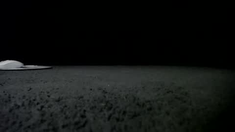 Niquita Sparkles online show from 01.24.25