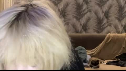 Snapshot of nikoli_naw chatting on 06.11.26 nikoli_naw online show from 06.11.26