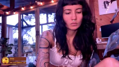 Nina.  online show from 03.01.26