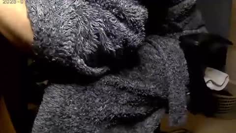 nineinchhard online show from 01.06.25