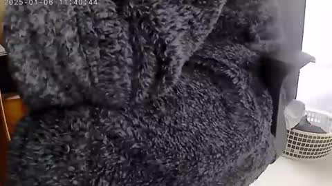 nineinchhard online show from 01.06.25