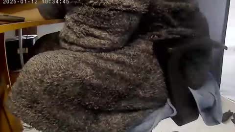 nineinchhard online show from 01.12.25