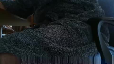 nineinchhard online show from 03.04.25